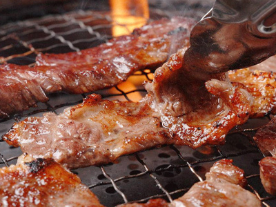 樟樹鴨腌制調(diào)味料